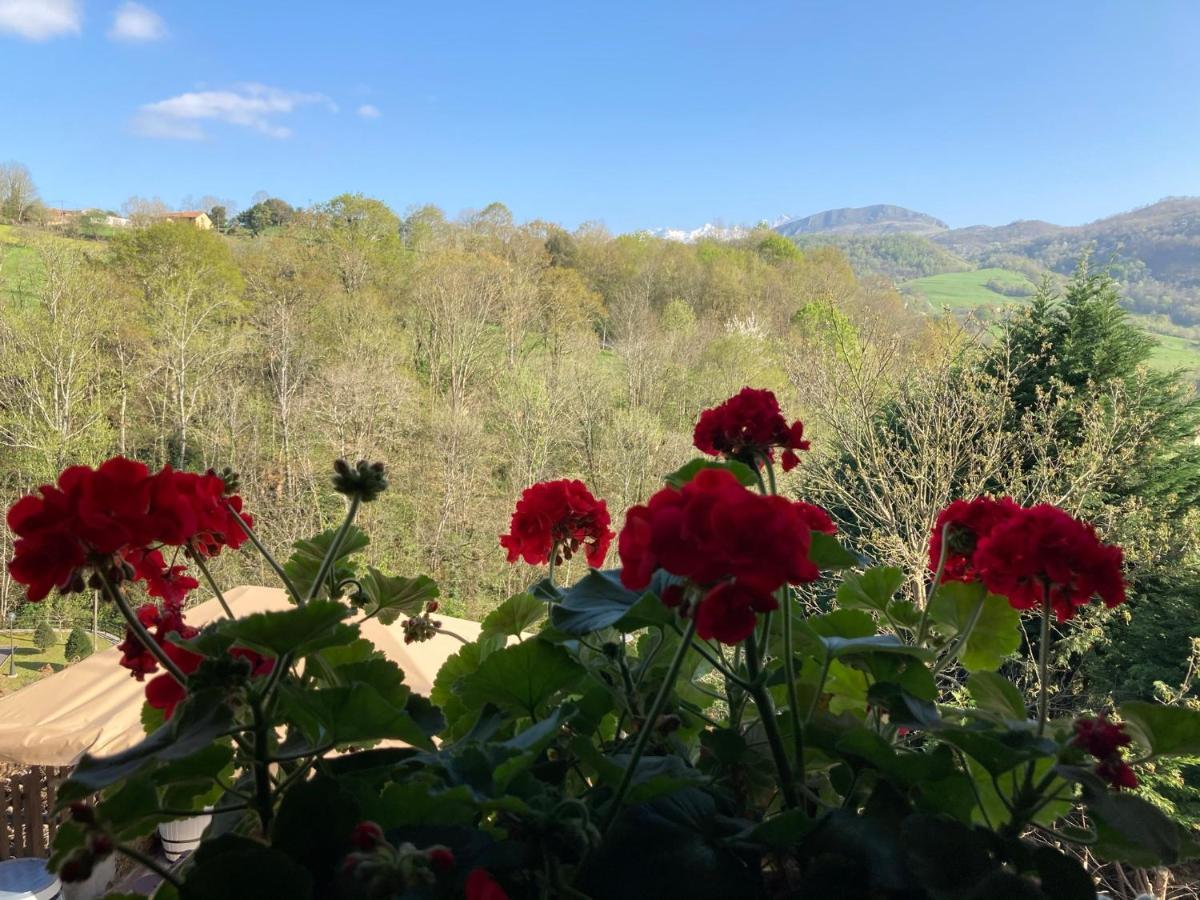 Casa Elena Cangas De Onis Con Wifi Y Parking Gratuito Kültér fotó