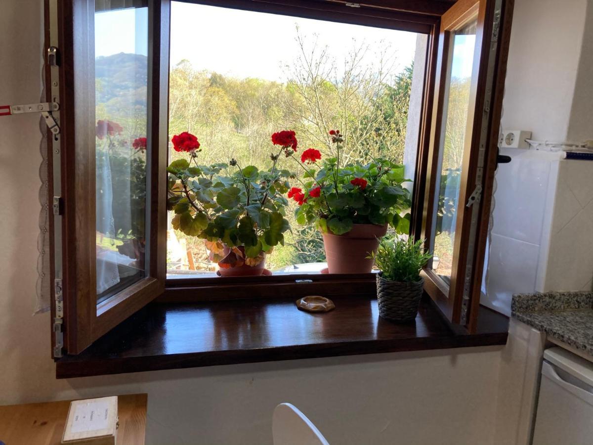 Casa Elena Cangas De Onis Con Wifi Y Parking Gratuito Kültér fotó