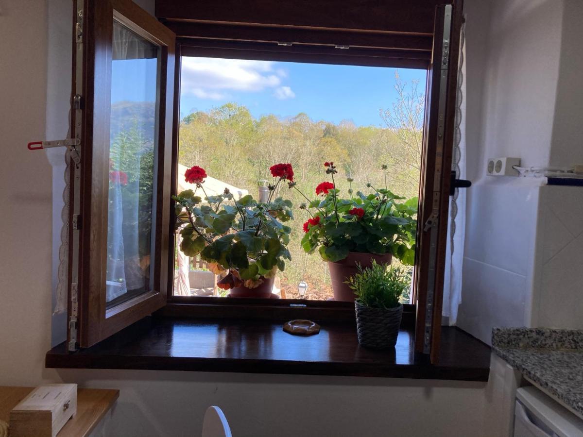 Casa Elena Cangas De Onis Con Wifi Y Parking Gratuito Kültér fotó