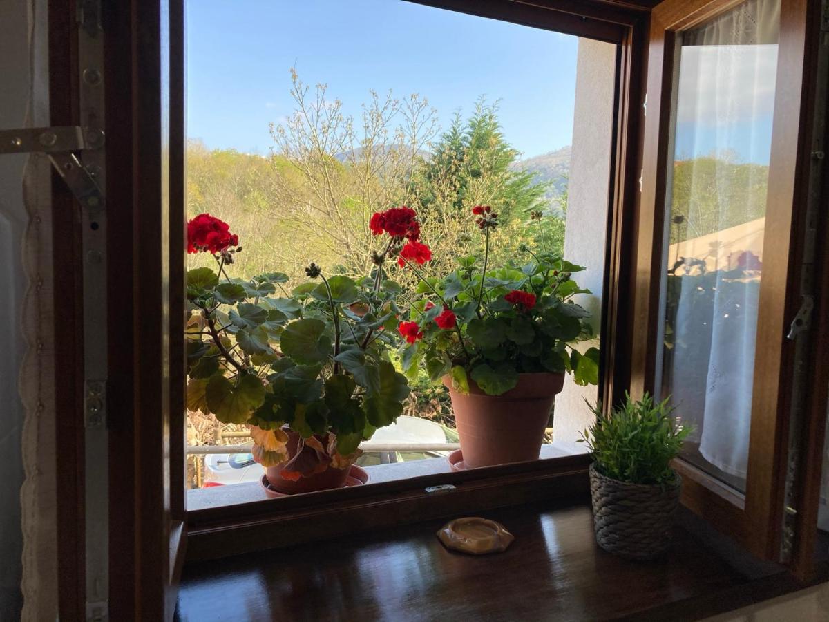 Casa Elena Cangas De Onis Con Wifi Y Parking Gratuito Kültér fotó